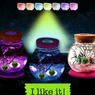 Set Đèn Led Marimo Tảo Cầu Nhật Bản