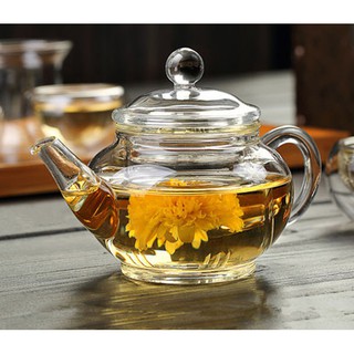 Ấm trà thuỷ tinh 260ml
