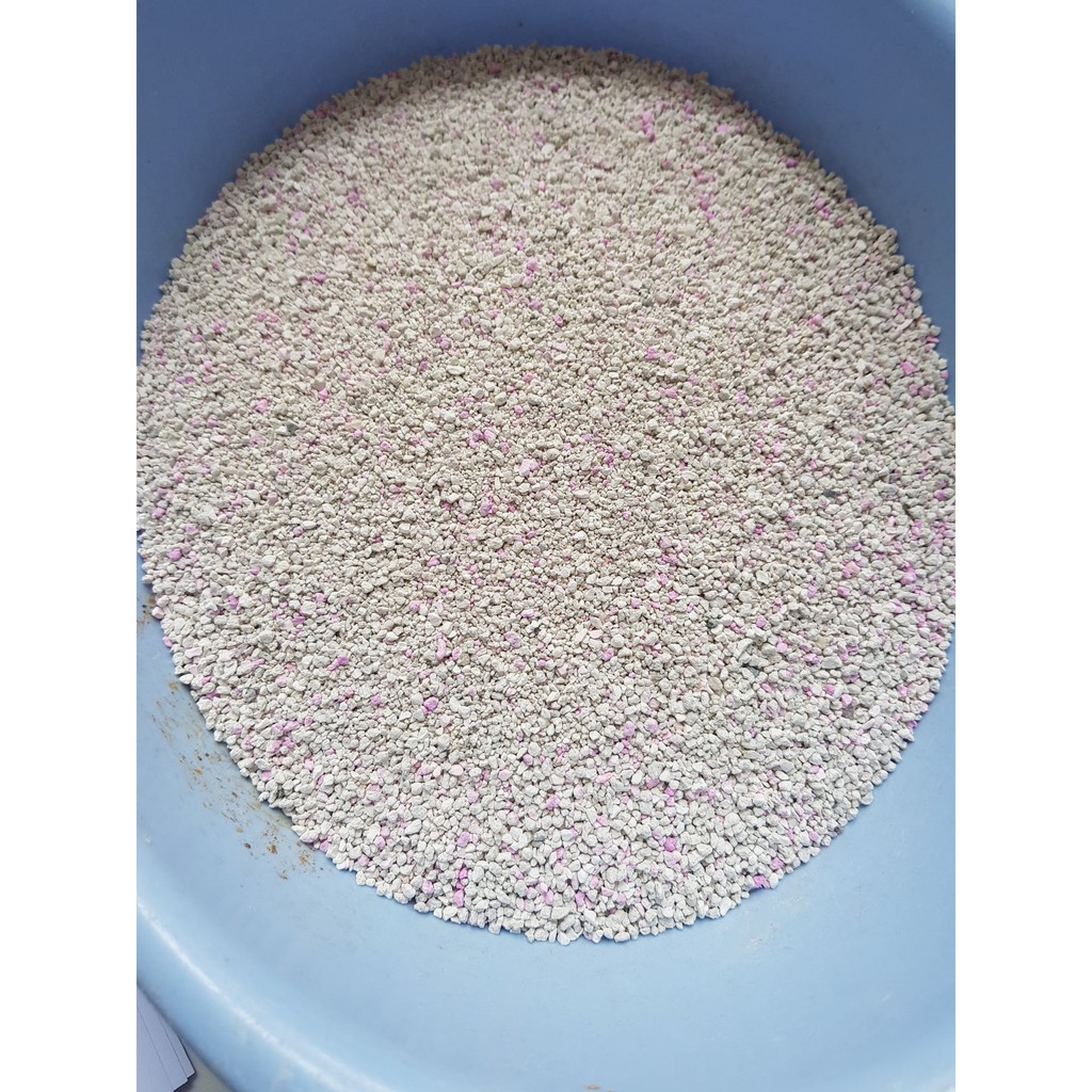 Cát vệ sinh Bentonite cho mèo KITTY MAX