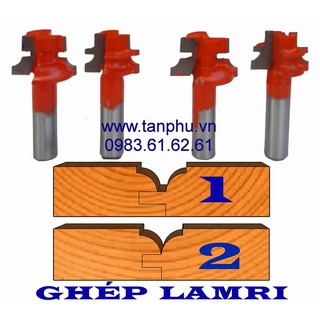 MŨI SOI GHÉP LAMRI