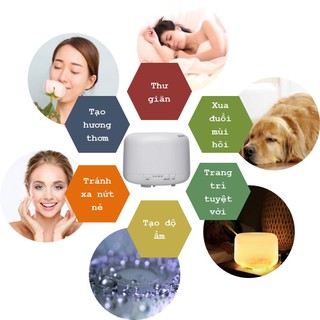 MÁY PHUN SƯƠNG TẠO ĐỘ ẨM GD189