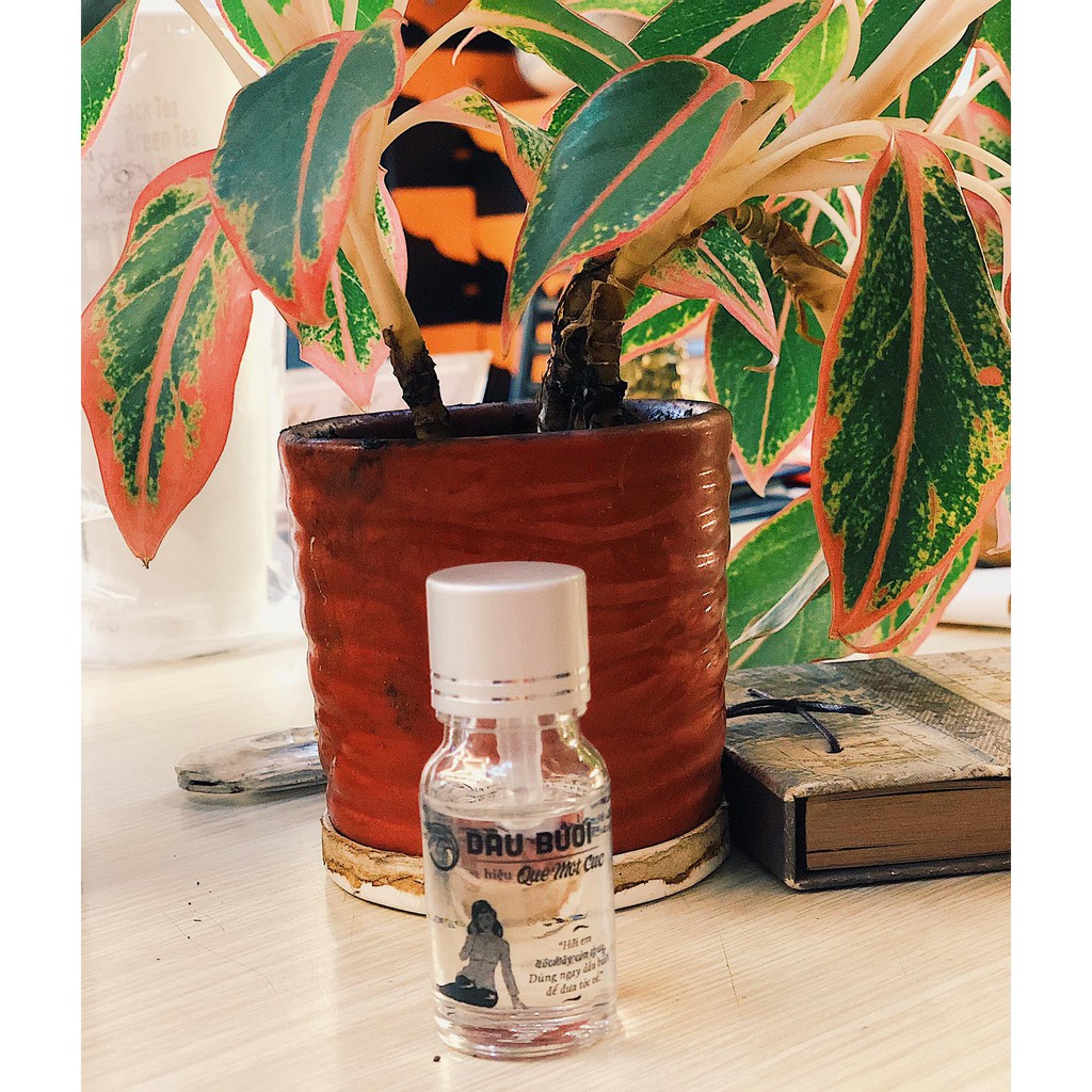 TINH DẦU BƯỞI SIÊU ĐẬM ĐẶC ORGANIC QUÊ MỘT CỤC 10ml – KÍCH THÍCH MỌC TÓC | BigBuy360 - bigbuy360.vn