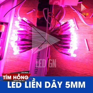 LED Liền Dây 5mm - Đủ Màu - 5V DC