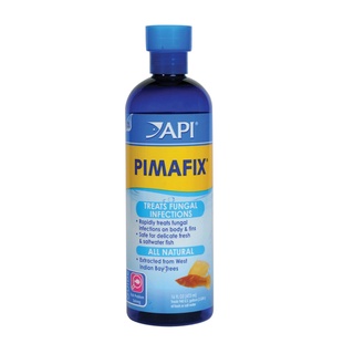 Api pimafix - xử lý nấm & khuẩn hại cho cá cảnh
