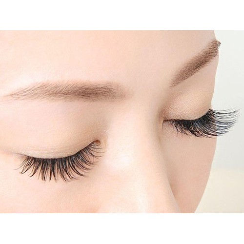 Lông Mi Giả Tự Nhiên Cho Nữ Siêu Đẹp, Phong Cách Hàn Quốc Model 21  Eyelashes 10 pairs (100% Nguyên Liệu Từ Hàn Quốc)