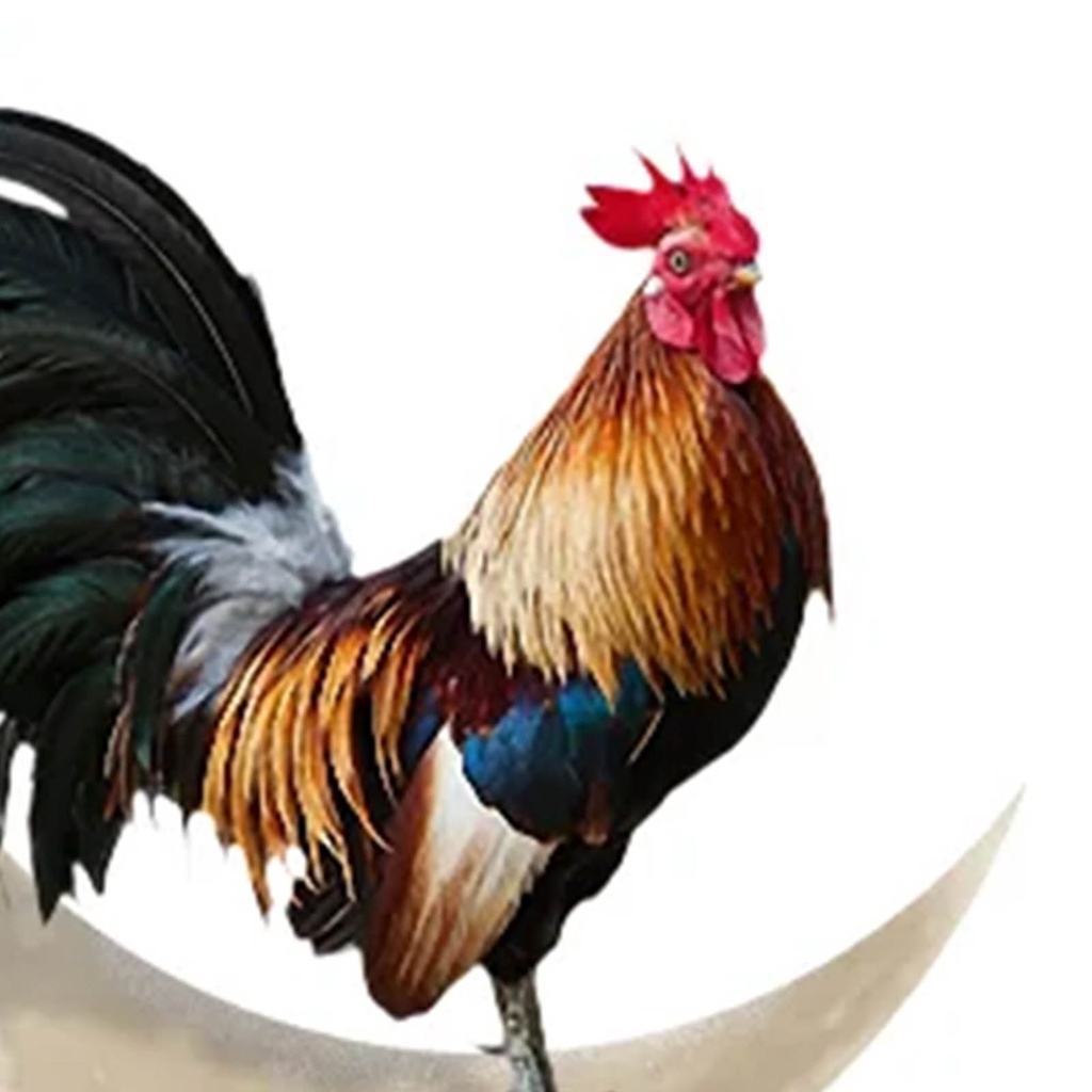 [Dolity2] Bức Tượng Nghệ Thuật Kim Loại Treo Tường Hình Mặt Trăng Trang Trí Phòng Tắm Văn Phòng