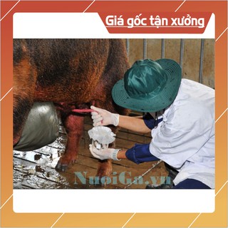 GIẤY LỌC TINH CHO HEO