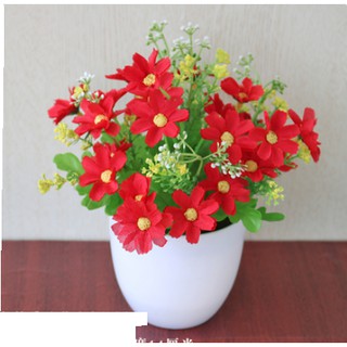 combo 3 chậu hoa để bàn