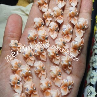 Hoa bột Nails