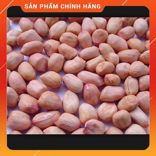 LẠC Khô ( Đậu phộng) Tách Vỏ - Đặc Sản Nghệ An 50g