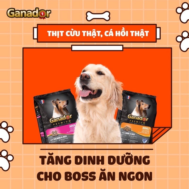 Thức Ăn Hạt Khô Ganador Cho Chó Con, Chó Lớn 400g - Cậu Vàng Pet Shop
