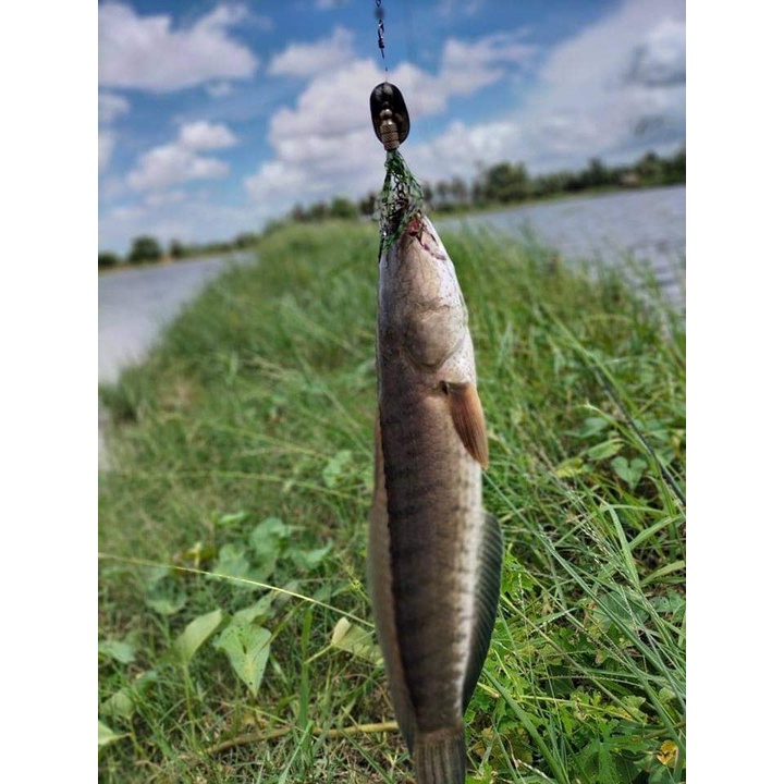 Mồi câu cá giả chuyên câu lóc chính hãng spiner Thái Lan HKN Fishing