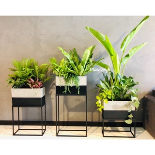 Chân sắt hộp chữ nhật - chưa bao gồm chậu (có thể tuỳ chỉnh theo yêu cầu)