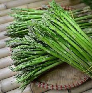 Hạt giống măng tây xanh