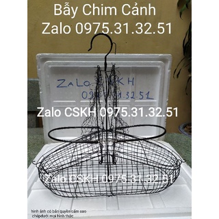 Bẫy chim chào mào choè mi khướu hàng đẹp