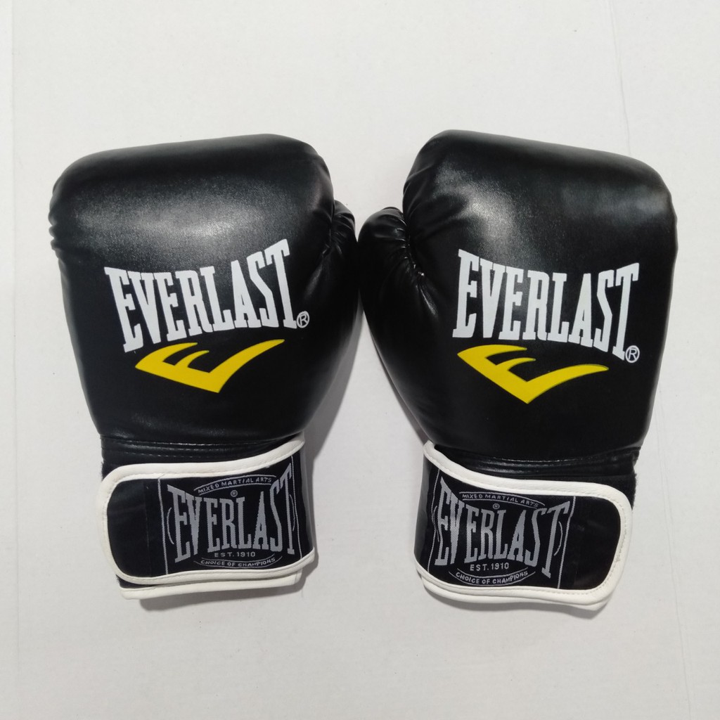 Găng tay boxing chuyên dụng cho dân đấm bốc EVERLAST màu xanh