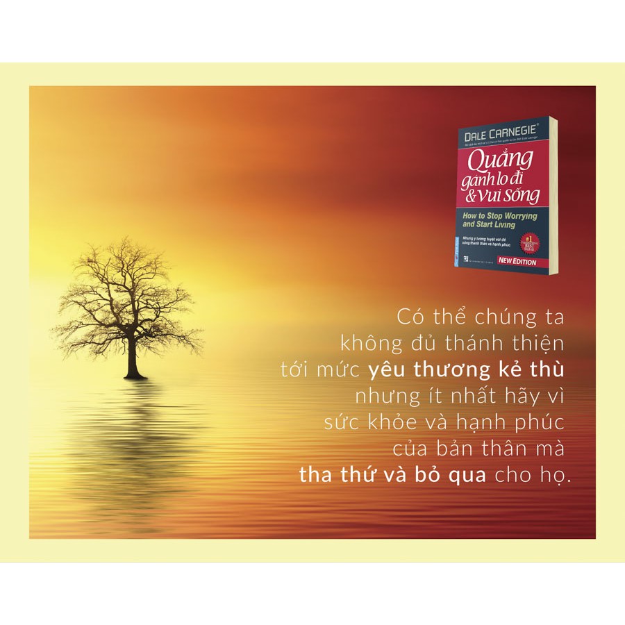 Sách - Quẳng Gánh Lo Đi Và Vui Sống (Bìa mềm) - FirstNews | BigBuy360 - bigbuy360.vn