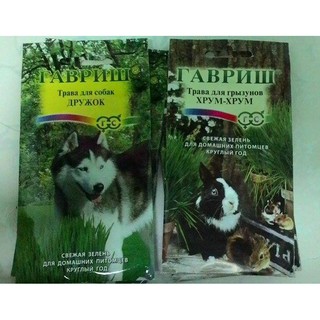 Hạt giống cỏ lúa mì lúa mạch cho thú cưng - chó mèo chim hamster 100gram - STHG2