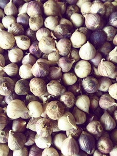 1kg Tỏi cô đơn