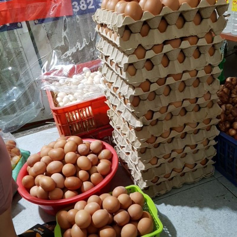 TRỨNG GÀ TA- GÀ CÔNG NGHIỆP  NGON NHẬN TRONG NGÀY