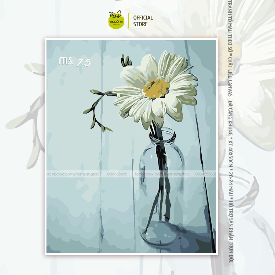 Tranh tô màu số hóa Madoca có khung 40x50cm một bông hoa cúc trắng T75