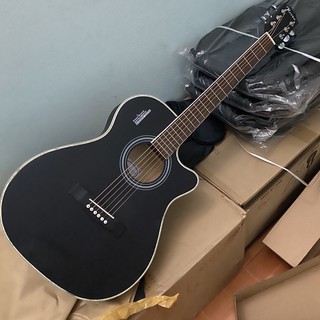 Guitar Rosen G11