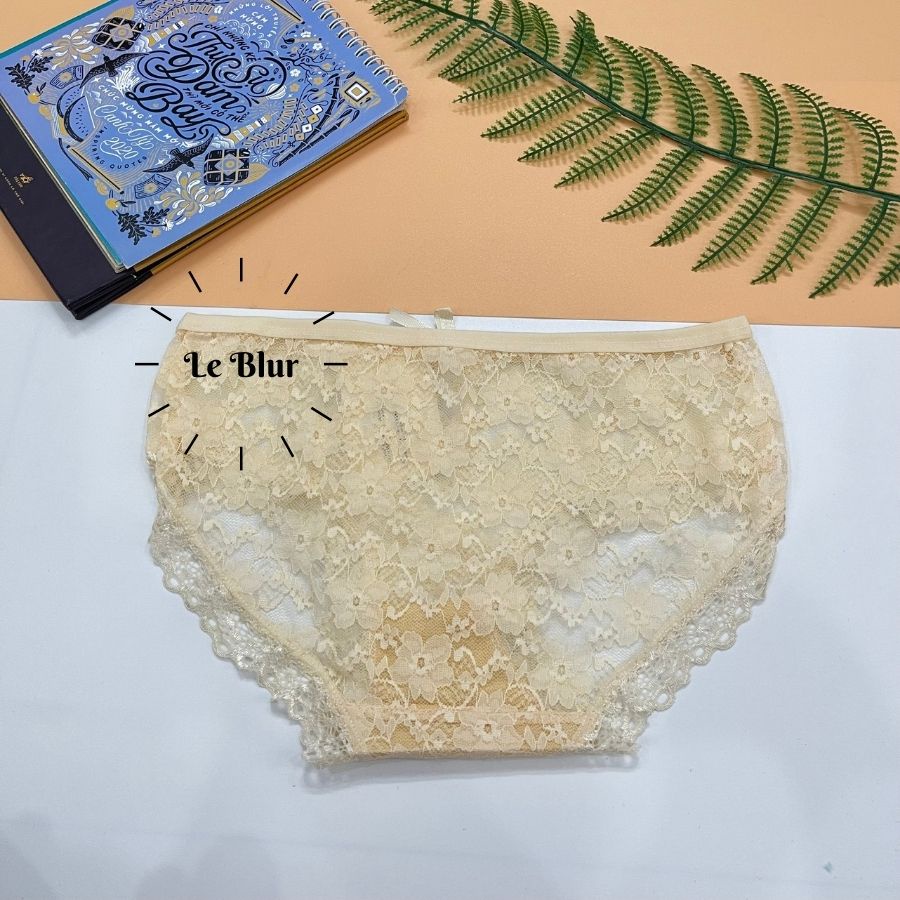 Quần lót ren xuyên thấu, quần chip gợi cảm,bắt mắt,Leblur shop