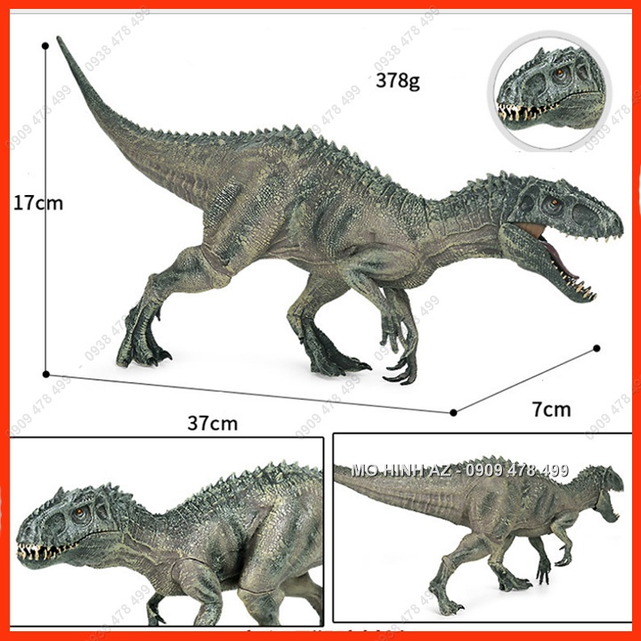 Mô Hình Khủng Long Indominus Rex - Size Lớn Dài 34cm -  7755.2