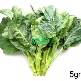 Hạt giống Cải Rổ