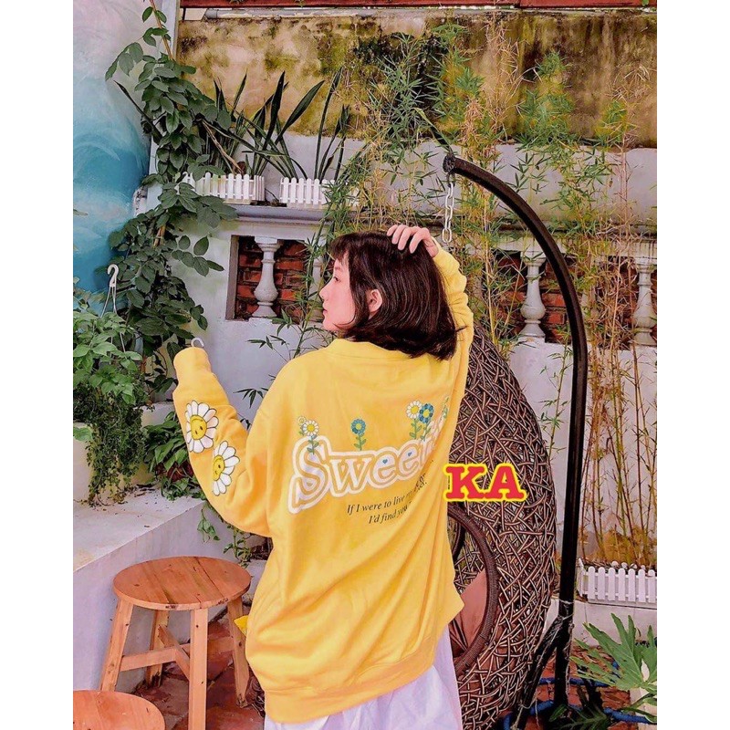 Cadigan Sweet hoa cúc KIAP876