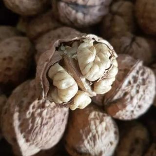Hạt óc chó Daklak1kg