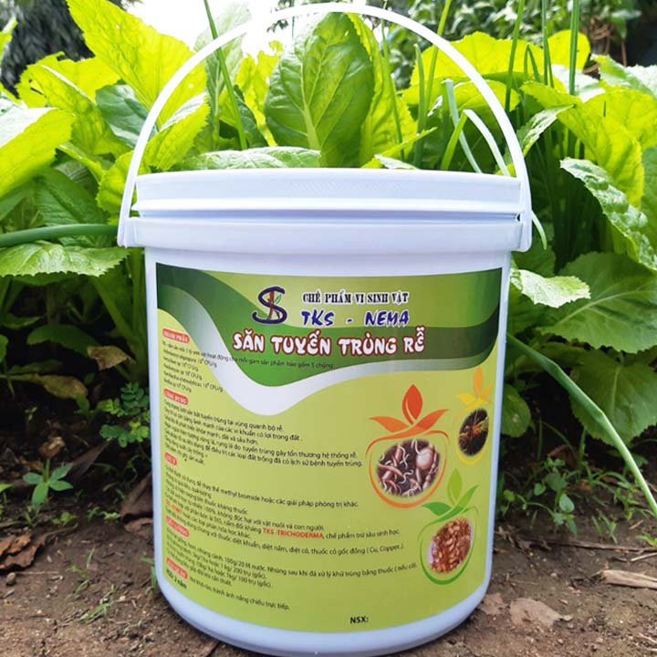 NẤM SĂN TUYẾN TRÙNG RỄ  TKS-NEMA