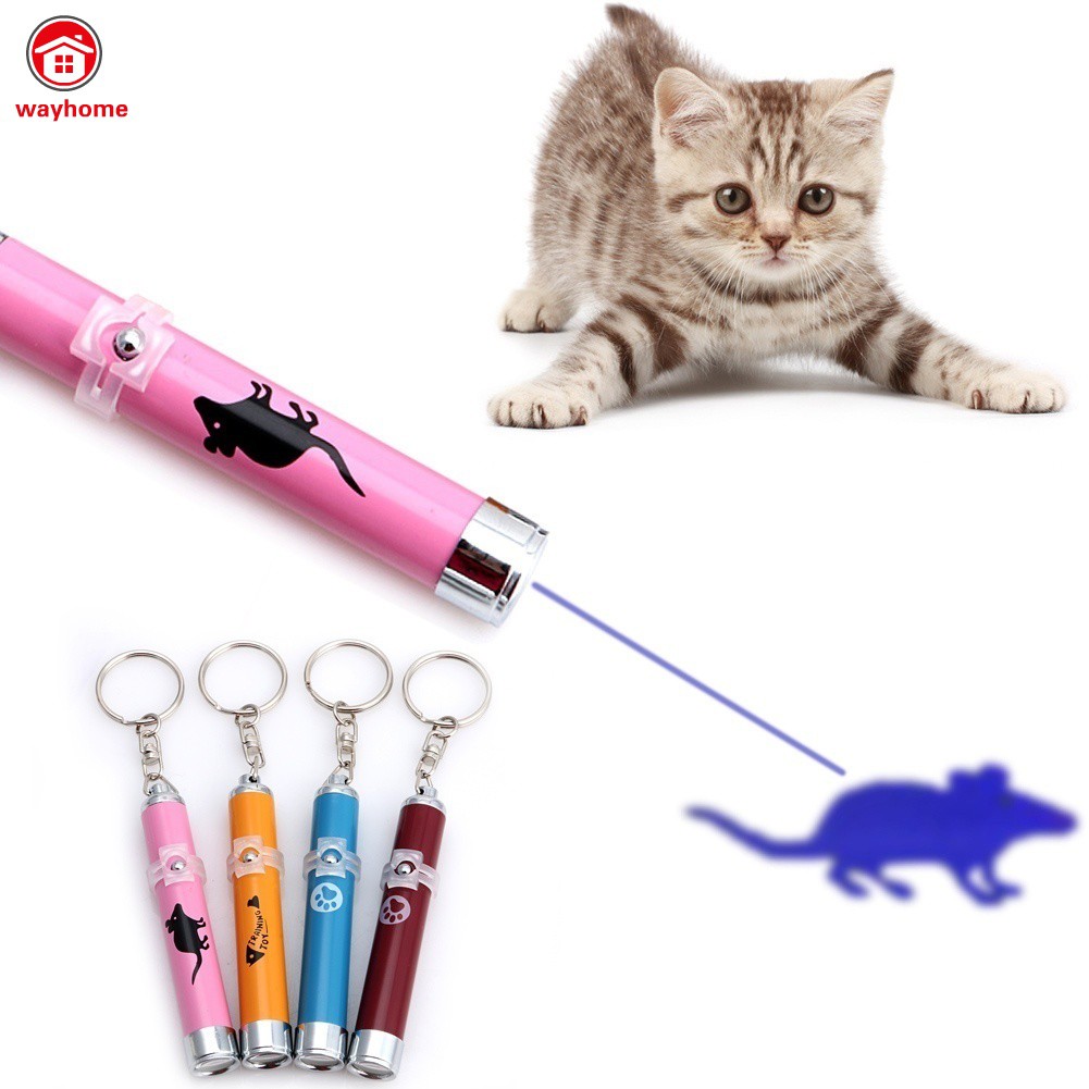 Bút laser đồ chơi sáng tạo cho thú cưng
