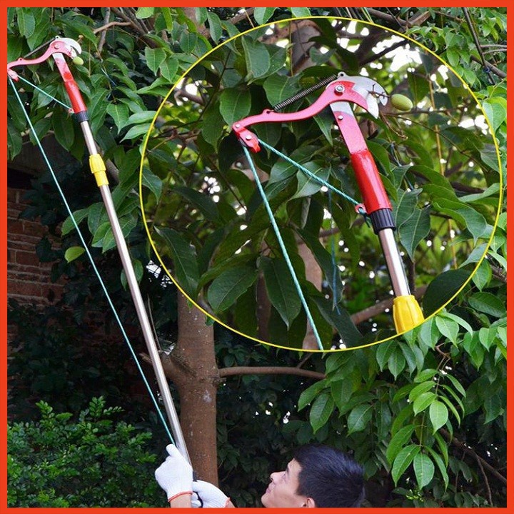 Đầu kéo cắt cành cây trên cao, tỉa cây cảnh, hái hoa quả đa năng