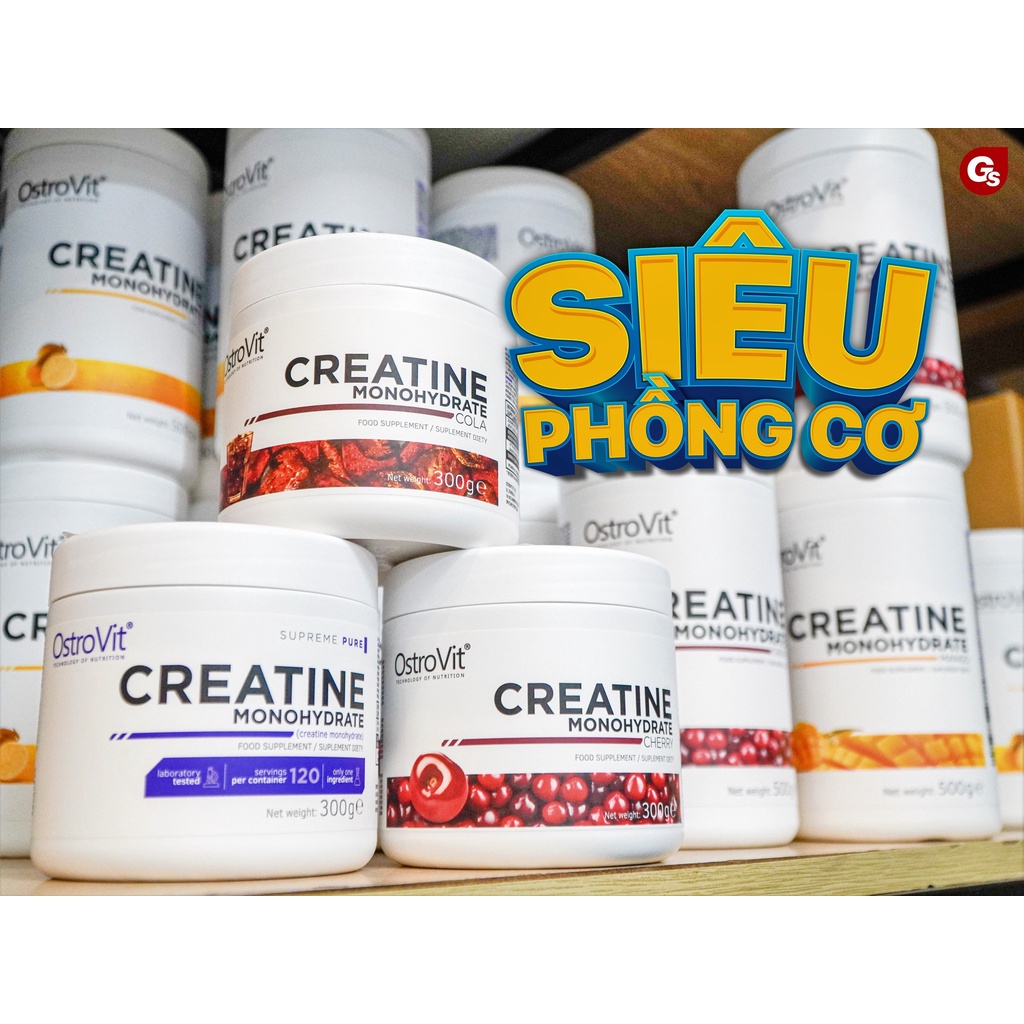 Sữa tăng sức mạnh, cơ bắp Ostrovit Creatine (300G, 500G) nhập khẩu Ba Lan - Gymstore tốt cho trí não