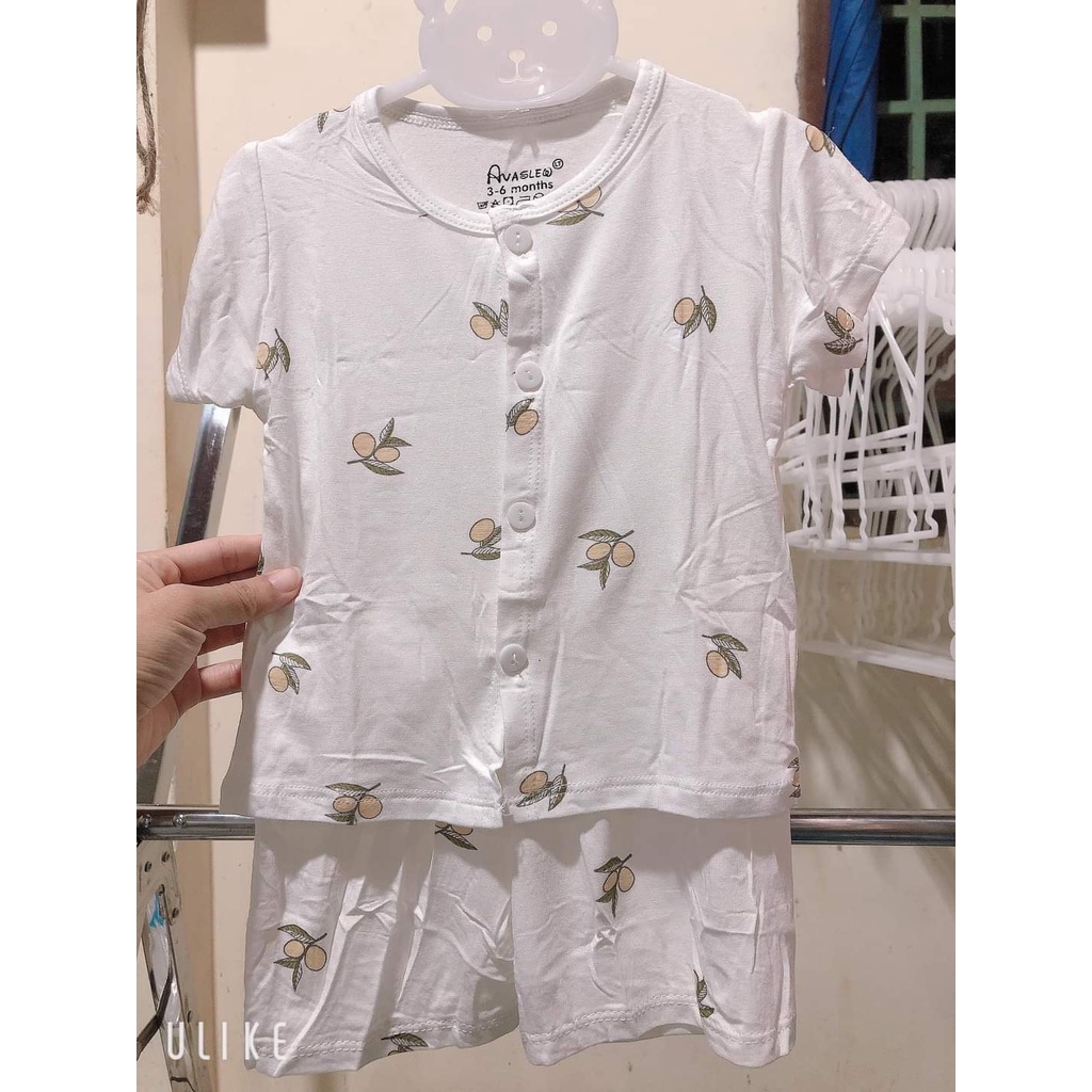 Bộ Ava cộc tay cúc giữa thun mềm cotton pettit xinh xắn cho bé trai và bé gái