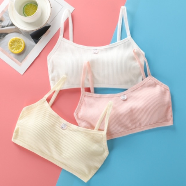 Áo bra học sinh cotton áo Lá Học Sinh Cotton Thỏ | BigBuy360 - bigbuy360.vn