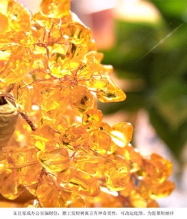 Cây thạch anh tài lộc