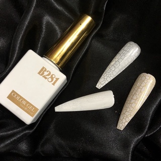 Sơn Nứt - Sơn Gel Nền Nứt B281