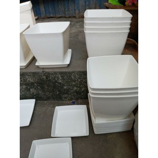 5 chậu nhựa vuông 16cm kèm đĩa lót giá tại xưởng