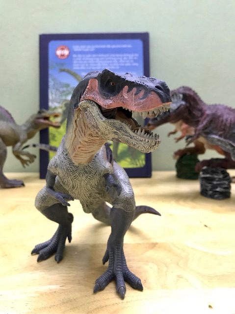 Mô Hình Khủng Long Terannosaurus Rex