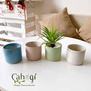 Chậu Men Sứ Mini Kẻ Tăm 076