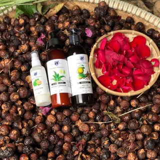 [Vietfarm_Organic] Cặp Dầu Gội - Xả Bồ Kết Cô Đặc Tâm Tít (300ML)