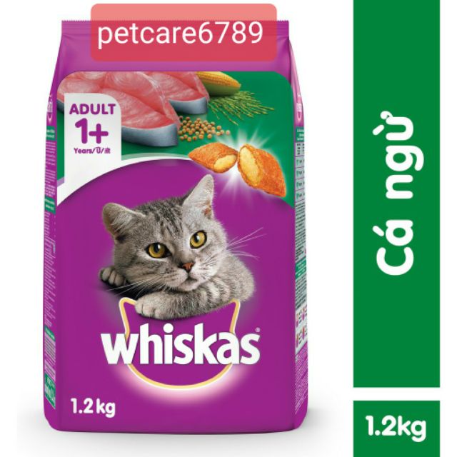 Thức ăn mèo con whiskas hạt mền có nhân trứng