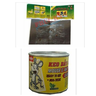 Keo bẫy chuột siêu dính loại tốt