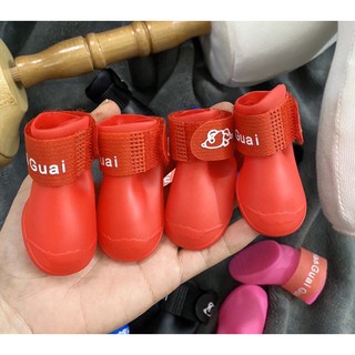 giày thú cưng đi mưa nắng
