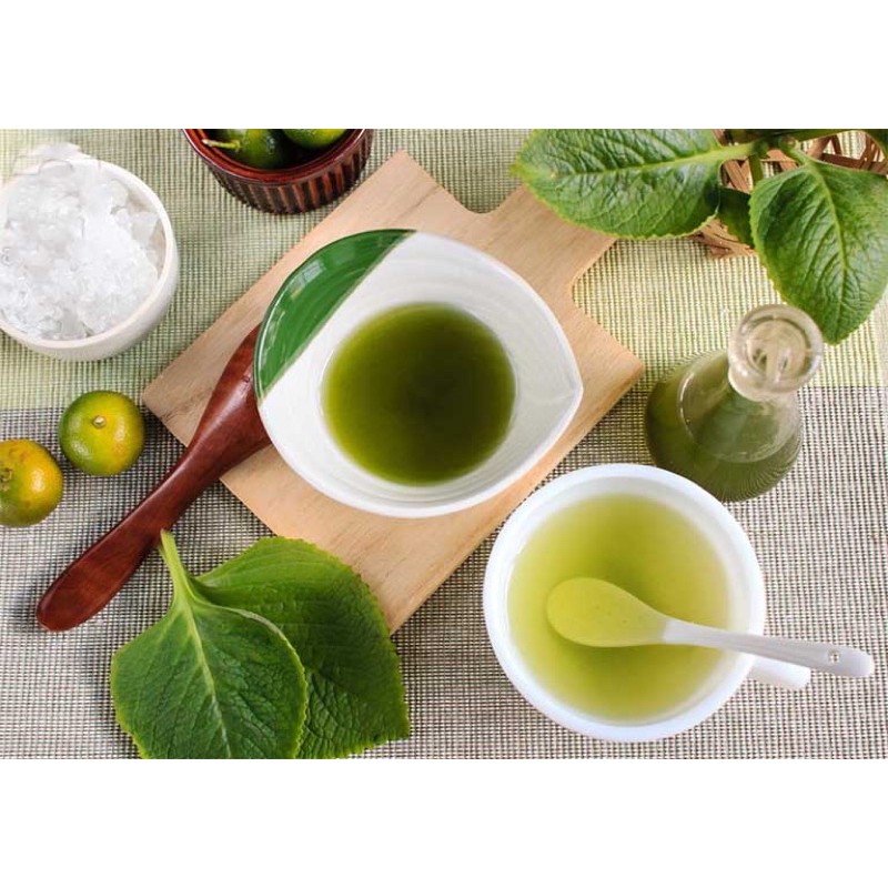 Chậu cây tần dày lá húng chanh