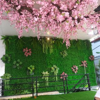 Hoa giả- hoa anh đào