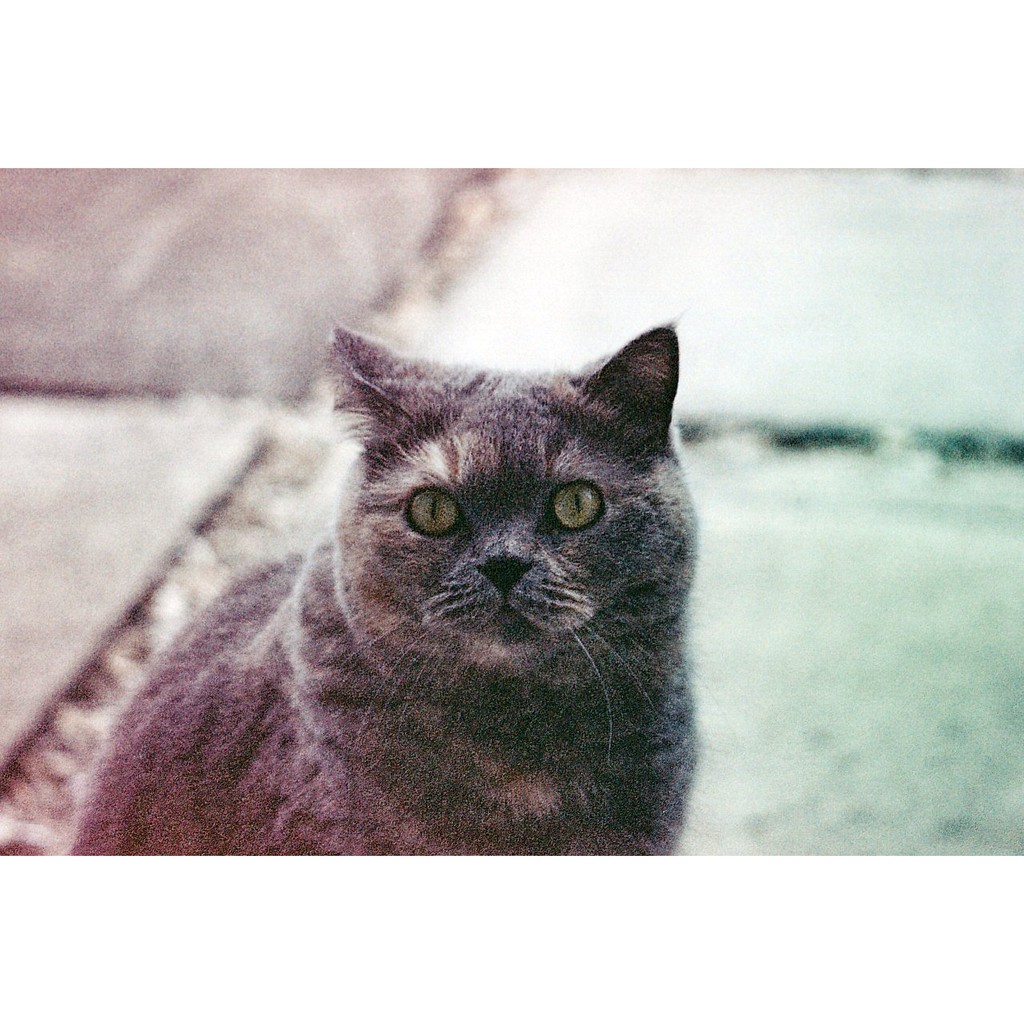 [Film Kodak APS] - Film (24mm) giá rẻ, hàng US