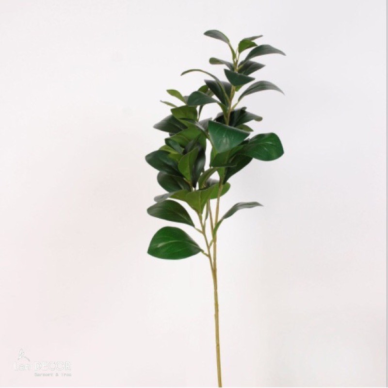 Cành lá giả caocấp (bạch đàn kép 3 nhánh 65cm, lá chanh, lá oliu) (ảnh và video thật)